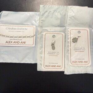 Alex and Ani - Charm Bracelet and 2 Charms!